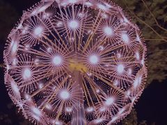 -怡海公园(桂城街道)