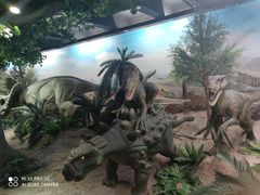 -国家自然博物馆