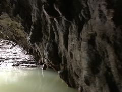 -怀托摩萤火虫洞