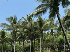 -味餐厅·海鲜·火锅·自助餐