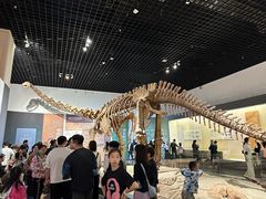 -衢州市博物馆