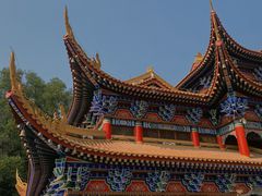 -东莞市大岭山森林公园