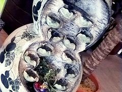 -小娘惹厨房Little Nyonya(狮城有约上榜店)