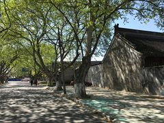 -伯先公园
