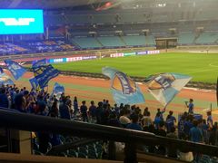 -南京奥林匹克体育中心-体育馆