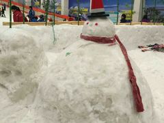 -绍兴启迪乔波冰雪世界
