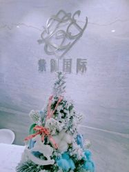 -紫御国际抗衰ZOE ANTI AGING
