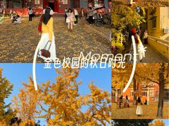 -四川大学(望江校区)