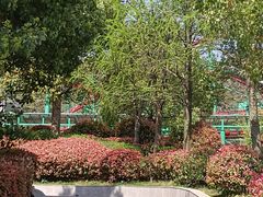 -南京银杏湖乐园