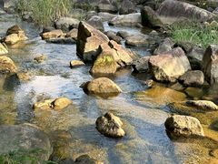 -广州白江湖森林公园