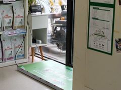 -爱妮康宠物医院·干细胞免疫细胞·肿瘤·心脏(张江店)