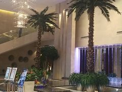 -常州环球恐龙城维景国际大酒店