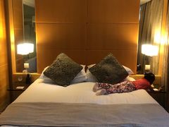 -上海新锦江大酒店