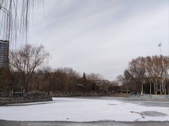 -黄村公园