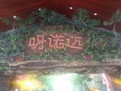-呀诺达热带雨林