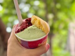 -Dip in Gelato(富民路店)