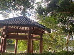 -红花湖景区