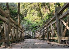 -南宁良凤江国家森林公园