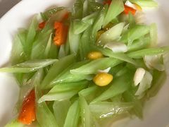 -丁老爷子苏香圆
