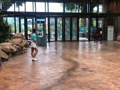 -杭州开元森泊度假乐园