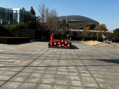 -金陵图书馆