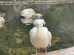-昆明动物园