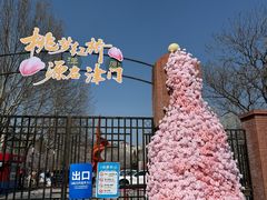 -桃花堤公园