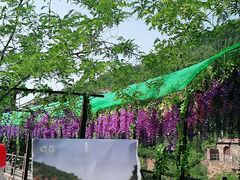 -伏羲大峡谷