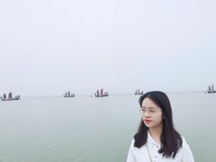 -贡湖湾湿地公园
