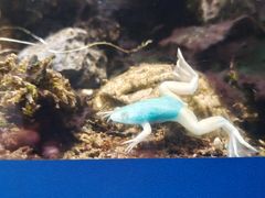 -多彩贵州城极地海洋世界