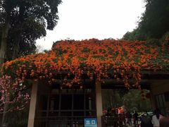 -桃花涧