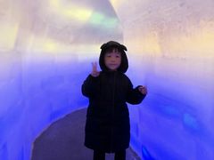 -郑州方特梦幻王国