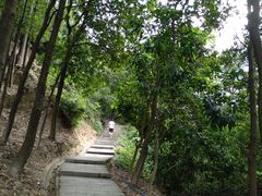 -火炉山森林公园