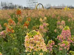 -中国天府农业博览园