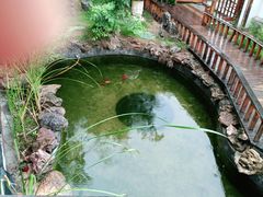 -中苑海韵
