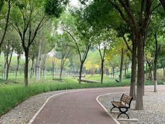 -大兴滨河森林公园