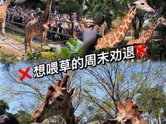 -广州动物园