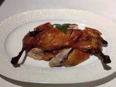 -圆苑(金茂店)