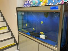 -艾维口腔(春江花月门诊部)