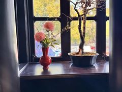 -豫园湖心亭茶楼