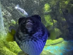 -太平洋海底世界