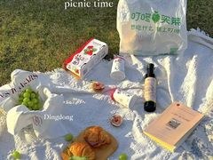 -上海共青森林公园