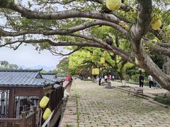 -江心屿景区