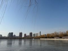 -莲花池公园