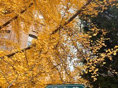 -辽宁大学(崇山校区)