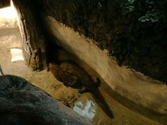 -洛阳龙门海洋馆