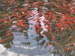 -水磨沟公园
