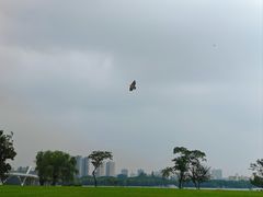 -蠡湖大桥公园