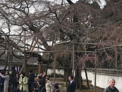 -醍醐寺