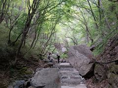 -王顺山国家森林公园
